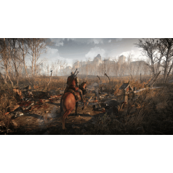 Zaklínač 3: Divoký hon (Edícia hra roku)